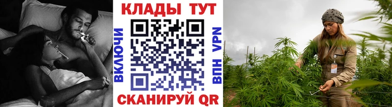 Наркошоп купить ГАШИШ  Каннабис  Альфа ПВП  МЕФ  Волхов