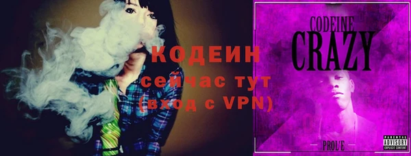 прущие грибы Бронницы