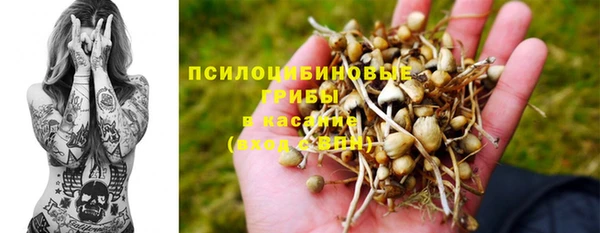 spice Бородино