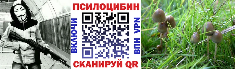 Псилоцибиновые грибы Magic Shrooms  Купить  Волхов 